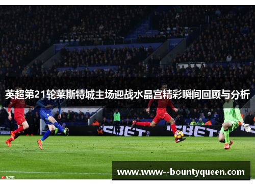 英超第21轮莱斯特城主场迎战水晶宫精彩瞬间回顾与分析