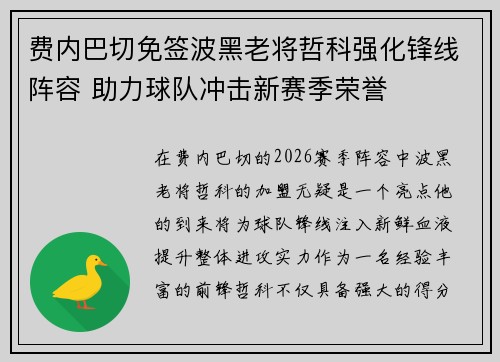 费内巴切免签波黑老将哲科强化锋线阵容 助力球队冲击新赛季荣誉